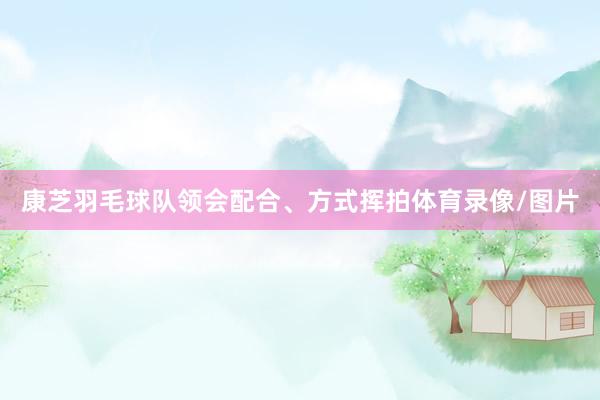 康芝羽毛球队领会配合、方式挥拍体育录像/图片