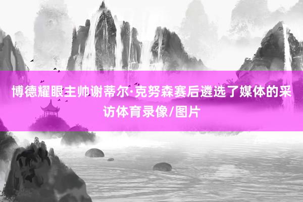 博德耀眼主帅谢蒂尔·克努森赛后遴选了媒体的采访体育录像/图片