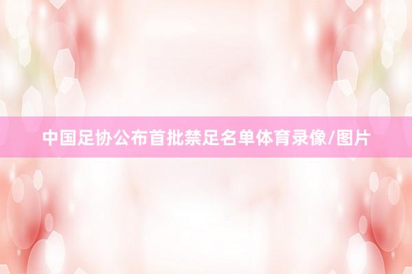 中国足协公布首批禁足名单体育录像/图片