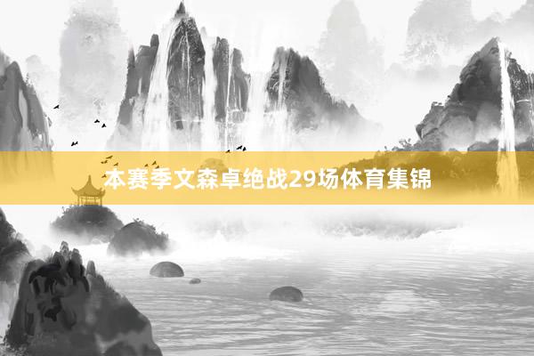 本赛季文森卓绝战29场体育集锦
