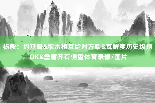 杨毅：约基奇&穆雷相互给对方喂&瓦解度历史级别 OK&詹眉齐有侧重体育录像/图片